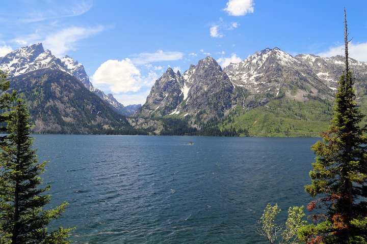 🏞️ 제니부치 공원(제니부치 코엔) 이미지 1